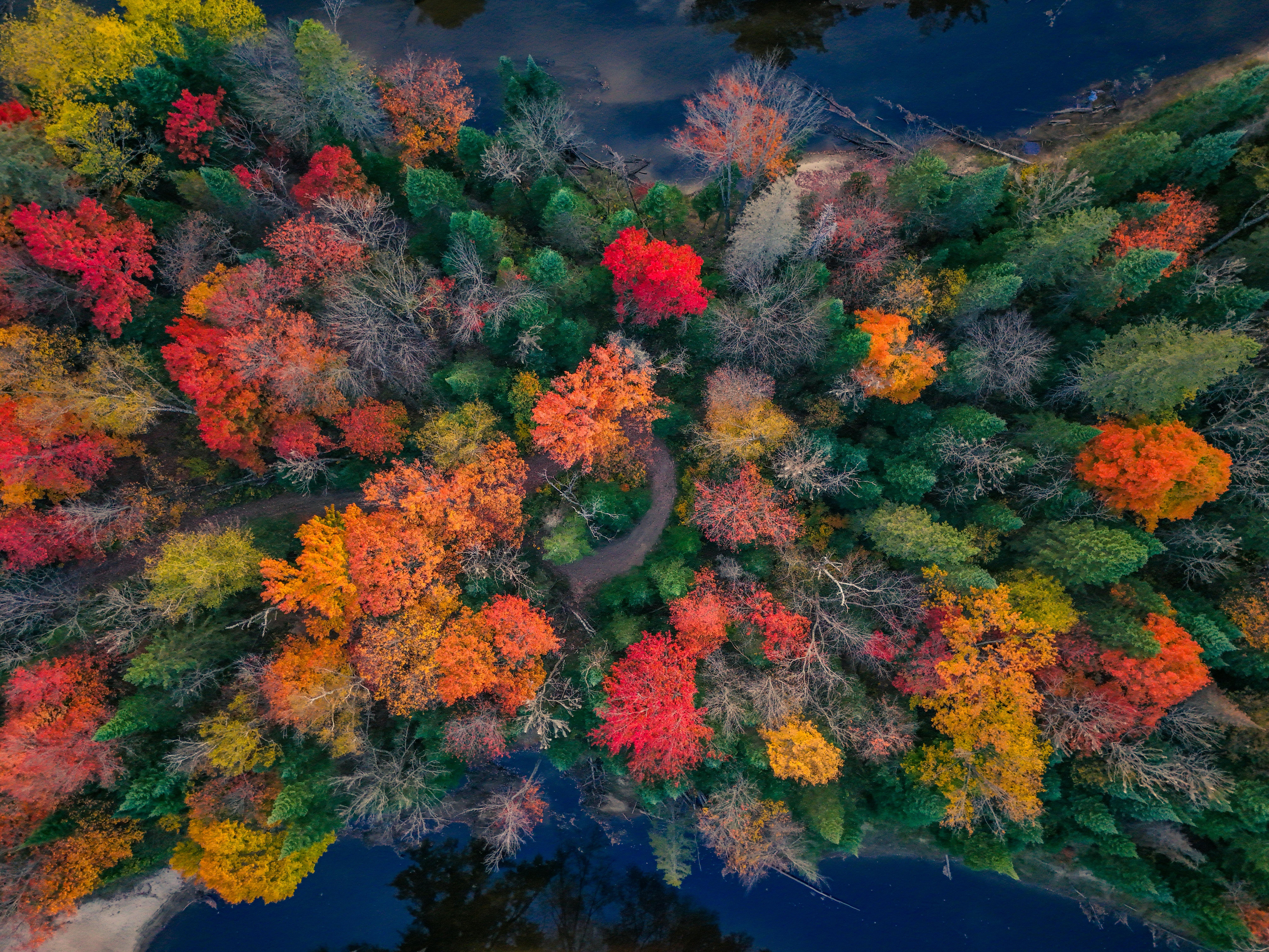 Seasons-feature for tile hunting launched